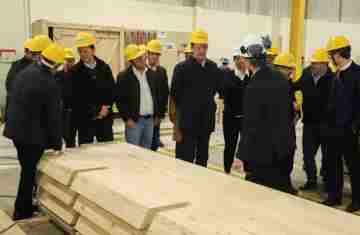 Paraná propõe compra de créditos tributários e redução de ICMS para auxiliar setor madeireiro